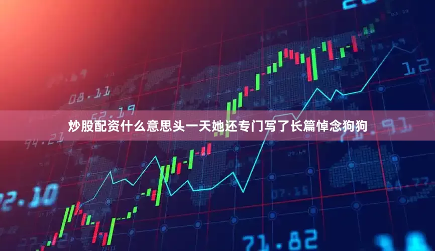 炒股配资什么意思头一天她还专门写了长篇悼念狗狗