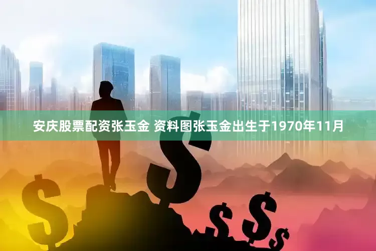 安庆股票配资张玉金 资料图张玉金出生于1970年11月
