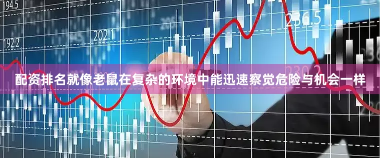 配资排名就像老鼠在复杂的环境中能迅速察觉危险与机会一样