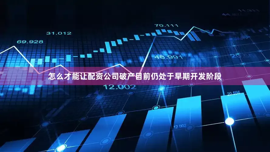 怎么才能让配资公司破产目前仍处于早期开发阶段