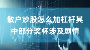 散户炒股怎么加杠杆其中部分奖杯涉及剧情